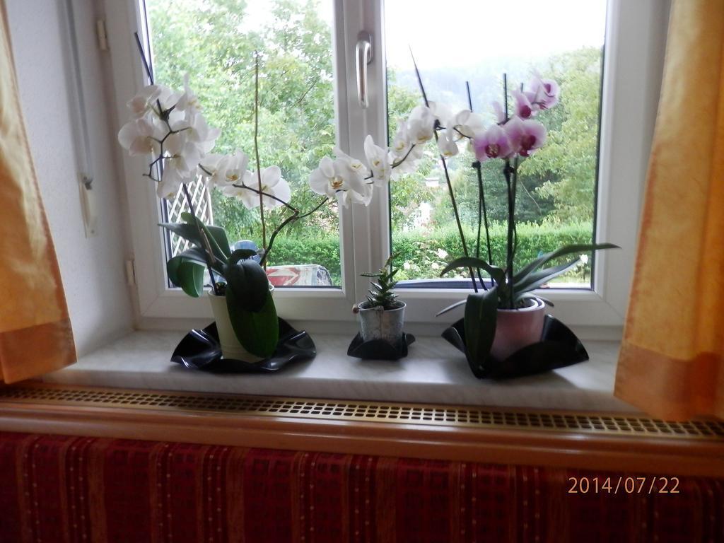 Ferienwohnung Wurm Anger  Bagian luar foto